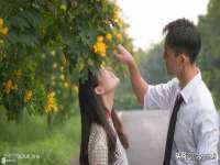 义乌市筱杵贸易商行