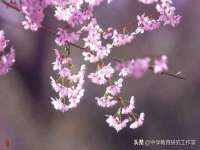 义乌市筱杵贸易商行