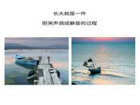 义乌市筱杵贸易商行