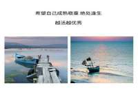 义乌市筱杵贸易商行