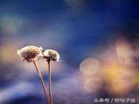 义乌市筱杵贸易商行