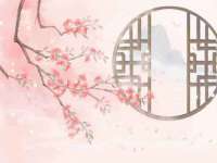 义乌市筱杵贸易商行