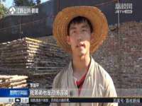 义乌市筱杵贸易商行