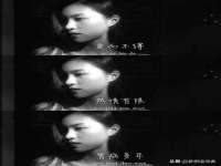 义乌市筱杵贸易商行