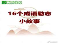 义乌市筱杵贸易商行
