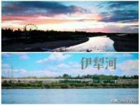 义乌市筱杵贸易商行