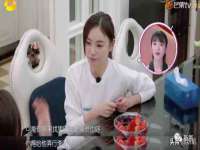 义乌市筱杵贸易商行