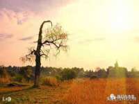 义乌市筱杵贸易商行