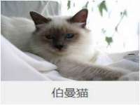 义乌市筱杵贸易商行