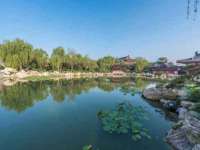 义乌市筱杵贸易商行