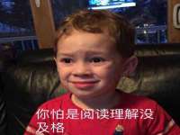 义乌市筱杵贸易商行