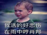 义乌市筱杵贸易商行