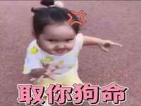义乌市筱杵贸易商行