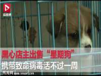 义乌市筱杵贸易商行