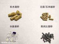 义乌市筱杵贸易商行