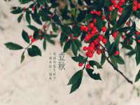 义乌市筱杵贸易商行