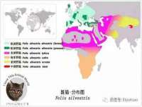 义乌市筱杵贸易商行