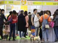 义乌市筱杵贸易商行