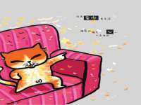 义乌市筱杵贸易商行