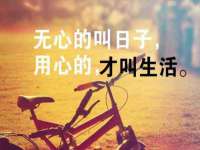 义乌市筱杵贸易商行