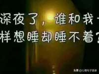 义乌市筱杵贸易商行