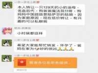 义乌市筱杵贸易商行