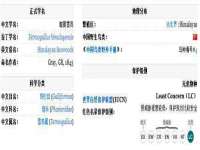 义乌市筱杵贸易商行