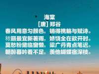 义乌市筱杵贸易商行
