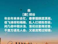 义乌市筱杵贸易商行