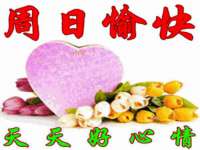 义乌市筱杵贸易商行