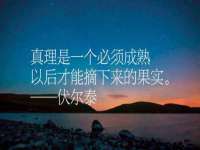 义乌市筱杵贸易商行