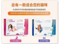 义乌市筱杵贸易商行