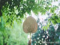 义乌市筱杵贸易商行