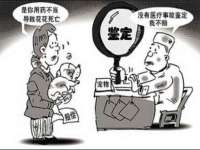 义乌市筱杵贸易商行