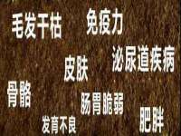 义乌市筱杵贸易商行