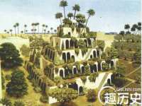 义乌市筱杵贸易商行