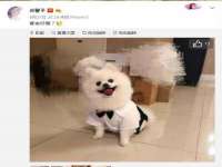 义乌市筱杵贸易商行