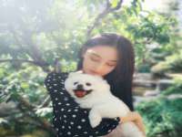 义乌市筱杵贸易商行
