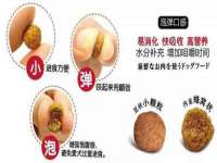 义乌市筱杵贸易商行