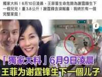 义乌市筱杵贸易商行