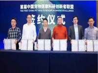 义乌市筱杵贸易商行