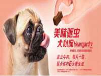 义乌市筱杵贸易商行