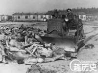 义乌市筱杵贸易商行