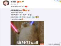 义乌市筱杵贸易商行