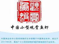 义乌市筱杵贸易商行