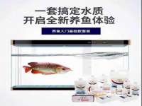 义乌市筱杵贸易商行