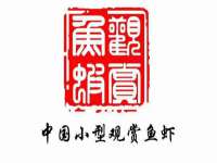 义乌市筱杵贸易商行
