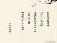 义乌市筱杵贸易商行