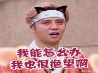 义乌市筱杵贸易商行