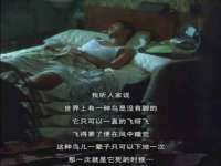 义乌市筱杵贸易商行